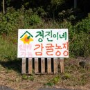 경진이네감귤농장 - 서귀포시 번영로 3243 | 경진이네감귤농장