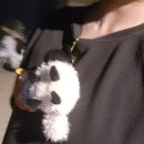 도양-5호 이미지