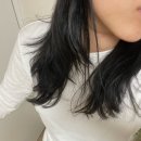 신사역미용실 에이티헤어 염색 후기