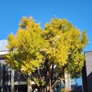 (주)코리아세븐 종로삼일대로점 | 단풍구경 북촌한옥마을 걷기 코스, 안국역 출발 북촌 전망 좋은 무료 전시 공간 &#39;한옥청&#39;부터 왕들이...