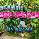 솔빛 2농장 네이버블로그