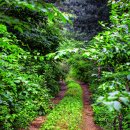 풍경태양광발전소 이미지