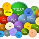 (주)엘케이글로벌 이미지