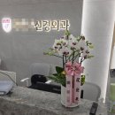 강동꽃농원 | 강동구 병원 개원 축하 흰색 호접난 화분 꽃배달 후기 서울꽃시장 고터농원
