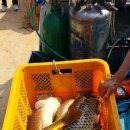 광탄낚시터 이미지