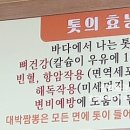 대박짬뽕회관 이미지