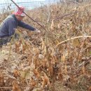 청태농장 이미지