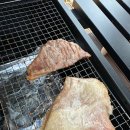 서홍동 서귀포 보건소 옆 | [서귀포/서홍동] 서귀포 애견동반 바베큐｜캠핑감성으로 즐기는 야외바베큐 할로마이 후기