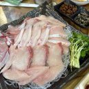 갈매기횟집 | 풍기동 횟집 파란갈매기 내돈내산 후기｜방어 먹고 왔어요