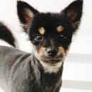 소답동237 이미지