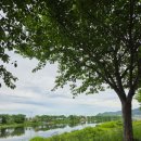 지에스(GS)25 강서가락점 이미지