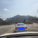 원조중앙탑막국수 네이버블로그