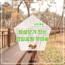경암근린공원 유아숲체험원 이미지