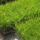 쌀과보리 이미지