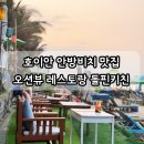 호이안 안방비치 맛집 오션뷰 돌핀키친 내돈내산