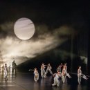 울산시립무용단, 수험생 위한 특별공연‘원하는 대(大)로’선보인다 이미지