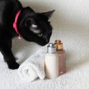 마음담은 동물병원 이미지