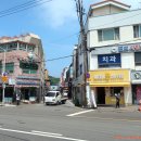 벌교사랑치과 티스토리