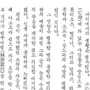 평화당1979 이미지