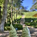 보성핸드폰 | 보성 녹차밭 아이랑 부모님 모시고 다녀온 솔직 후기