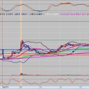 에브리헬스케어 이미지