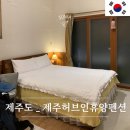허브인허브 | 제주도 한림펜션 추천 제주허브인휴양펜션 침대2개 복층펜션 내돈내산 후기
