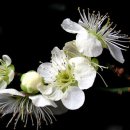 푸른 둥지 이미지