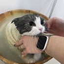 골든캐슬아로마 네이버블로그