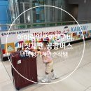 공항전집 | (아이랑일본여행) 비행기 꿀템부터 비짓재팬 등록, 오사카공항버스 이용법까지 한 번에 정리