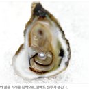 석화 이미지