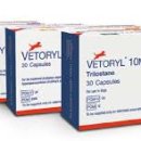 강앤정동물병원 이미지