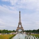 프리즘 행정사 사무소 이미지