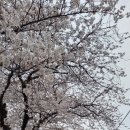 설천 이미지