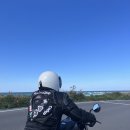 할리노래연습장 | 준바이크에서 제주스쿠터로 액티비티한 여행을!