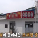 상상초벌