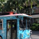 적보농장 | #하와이 신혼여행 꿀팁 : 뚜벅이 일정✨️ 현지, 노팁택시, 우버 이용후기🚕