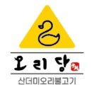 오리당 이미지
