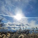 동굴목장 | 제주 서쪽 여행코스 가볼만한 곳 성이시돌 목장 새별오름 억새뷰 (feat.주차장 팁)