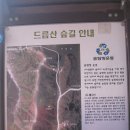 12월19일(수요일) 춘천 드름산 산행(1) 이미지