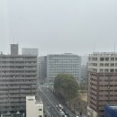 나홀로짐 구미점 | 나 홀로 구마모토_4일차_ 아카구미 라멘 가미토리점, 구마모토 공항, 후기
