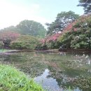 명옥헌원림2(입구) 이미지