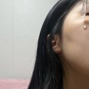 [뷰티] 병풀 에센스 - 바랑소리 차오를에센스 후기