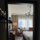 혹스턴 로마 The Hoxton Rome 후기
