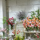 삼성데코 이미지