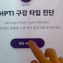 헤리티지플란트치과의원 네이버블로그