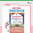 ＜63주년 2025 가야문화축제＞ 이미지