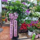 (사)통일을실천하는사람들 광주전남본부 사무실 개소식 및 2025년 을사년 시무식