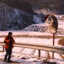 중동2리 이미지