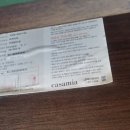 카사미아네일 Daum카페