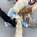 사랑가득한유치원 이미지